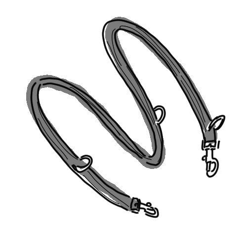 halti lead